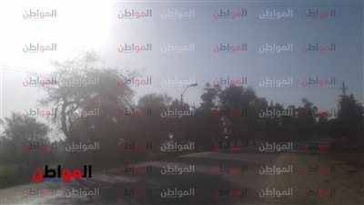 استقرار في درجات الحرارة اليوم بالغربية.. والعظمى 21