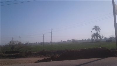صور.. تعرف على أحوال الطقس ببني سويف اليوم الأربعاء 