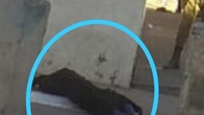 وسط تناحر قيادات رام الله على السلطة.. الاحتلال يقتل طالبة فلسطينية بدم بارد 