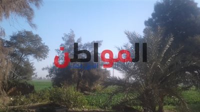 صور.. تعرف على النشرة الجوية وأحوال الطقس ببني سويف اليوم الخميس 