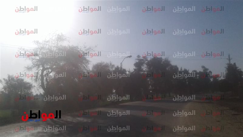 درجات الحرارة اليوم