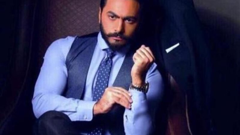  حفل تامر حسنى الثانى