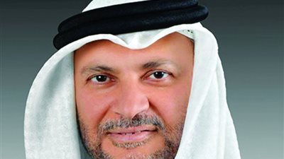 قرقاش: نرفض إقامة مناطق آمنة شرق الفرات 