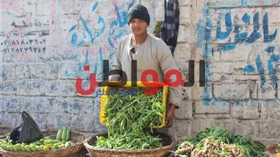 ارتفاع مفاجئ في أسعار الخضروات والفاكهة بالإسكندرية اليوم الجمعة