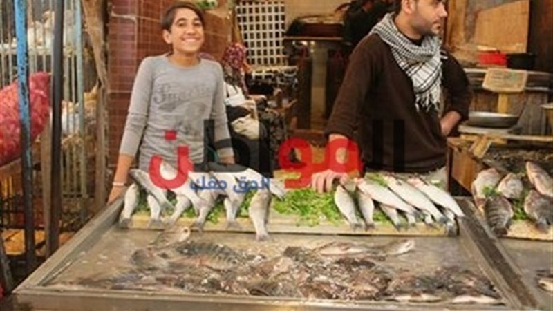 أسعار السمك