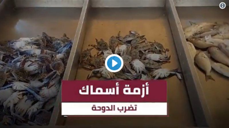 نقص الأسماك فى قطر