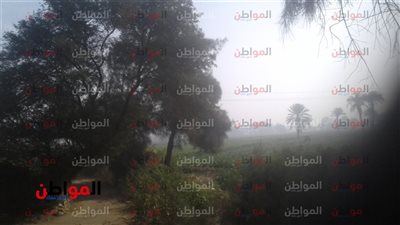 تعرف على النشرة الجوية وأحوال الطقس ببني سويف اليوم السبت 