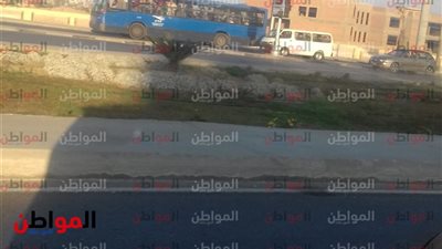 صور.. تحسن أحوال الطقس في الجيزة اليوم