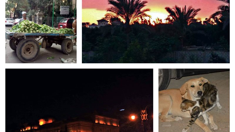 حكايات مصر الحلوة