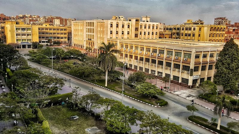 أسبوع شباب الجامعات