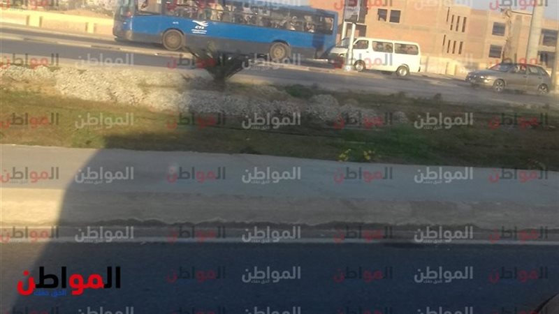 المواطن
