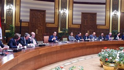 الرئيس السيسى للوفد الألمانى: الشعب المصرى حسم أمره وقرر الاستقرار 