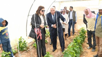 وزيرة التخطيط تكشف قيمة الاستثمارات الحكومية لتنمية محافظة الوادي الجديد