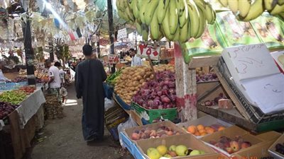 فيديو | أسعار الخضروات اليوم الاثنين 4 فبراير 2019  في الأسواق