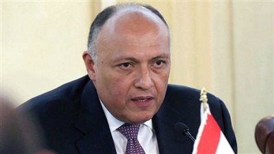   تفاصيل لقاء سامح شكرى مع نظيره المجرى على هامش الاجتماع الوزارى العربى الأوروبى 