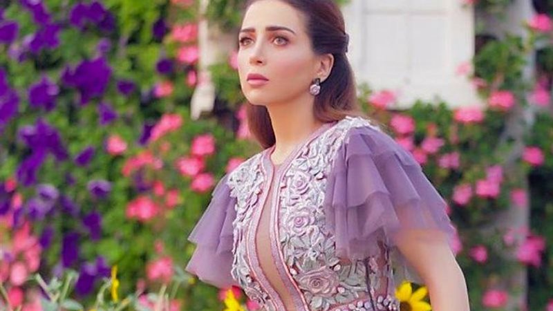 مي عز الدين في دراما