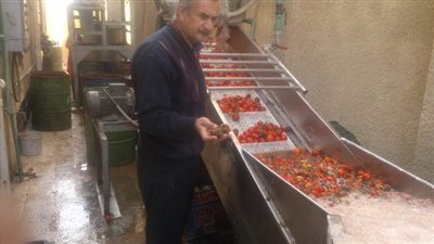 الرقابة التموينية: ضبط مصنع لإنتاج الصلصة الفاسدة بالشرقية