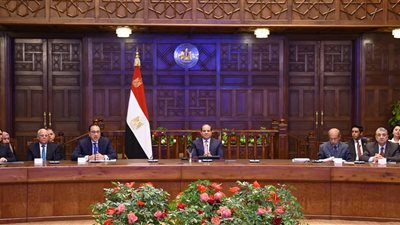 صور.. السيسي يوجه بتذليل الصعاب وحل المشكلات التي تواجه بورسعيد