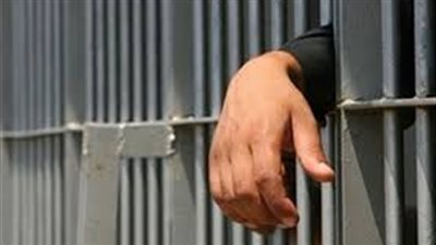 نيابة أمن الدولة: حبس 15 يومًا على ذمة التحقيق لـ 17 عضوًا في 