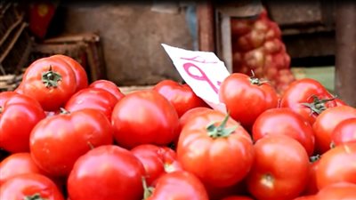 سعر الطماطم في سوق العبور اليوم الاربعاء 6 فبراير 2019