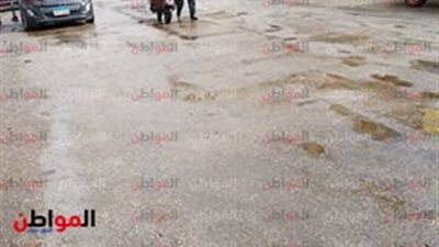   فيديو.. الأمطار تُغرق منطقة جامعة القاهرة.. وموظف يحتمى بـ
