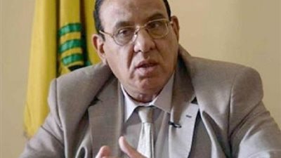 طلعت عبد القوي في احتفالية مكافحة ختان الإناث: السعودية مفيهاش حاجة اسمها ختان