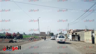 صور.. استقرار في أحوال الطقس بالغربية .. والعظمى 17