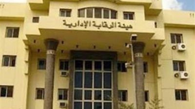 انفوجراف| معلومات لاتعرفها عن مبادئ الرقابة الإدارية
