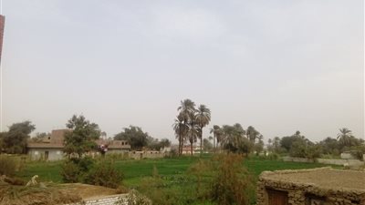 صور .. استقرار حالة الطقس في سوهاج اليوم الجمعة