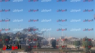 صور.. جو مشمس ضمن أحوال الطقس في الجيزة اليوم