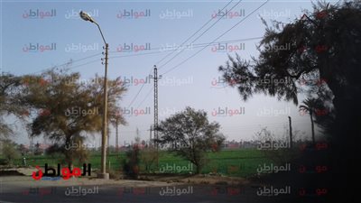 استقرار أحوال الطقس ببني سويف اليوم الجمعة