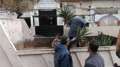 إدارة الحدائق بـ حي وسط الإسكندرية تزيل النباتات لحل مشكلة الهبوط الأرضي
