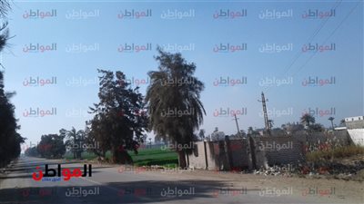 استقرار درجات الحرارة ببني سويف اليوم السبت