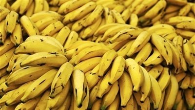 سعر الموز في سوق العبور اليوم السبت 9 فبراير 2019 