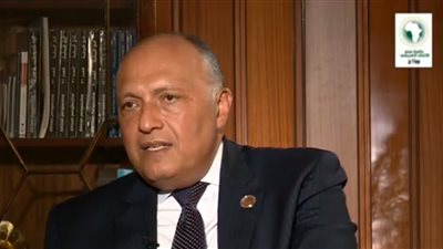 وزير الخارجية: تجميد عضوية مصر في الاتحاد الأفريقي كانت لحظة محزنة