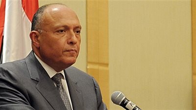 شكري: الدور التركي في ليبيا مقلق 