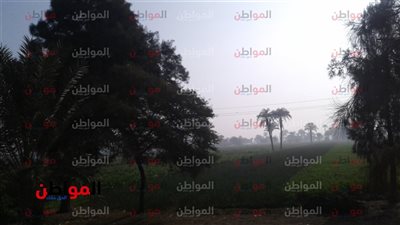 صور..حالة الطقس في محافظة بني سويف اليوم الإثنين ..الشمس ساطعة والجو جميل 