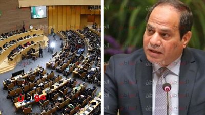 فى قمة أفريقيا 2019| 