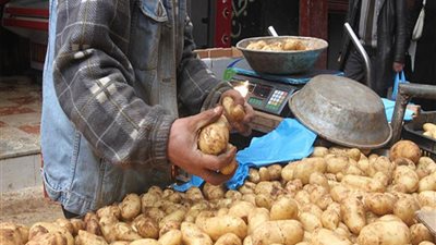 سعر البطاطس اليوم الاثنين 11 فبراير في سوق العبور