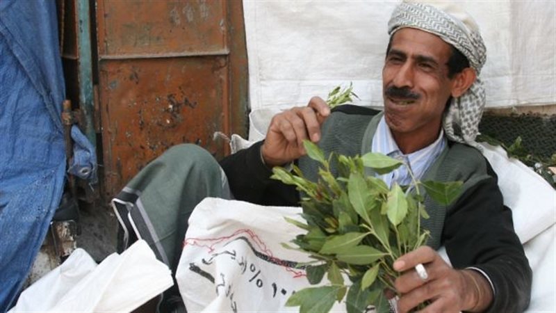 المواطن