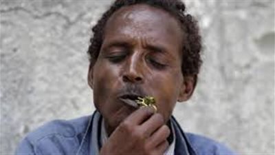 القات يمول جماعة الشباب الإرهابية فى الصومال