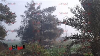 تعرف على أحوال الطقس ببني سويف اليوم الثلاثاء 