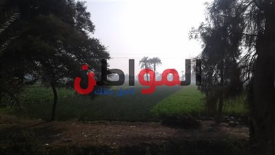 أحوال الطقس ببني سويف اليوم الأربعاء 13 فبراير 2019