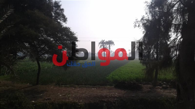 أحوال الطقس ببني
