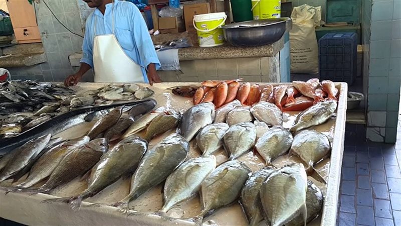 سعر السمك اليوم الاربعاء