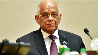 علي عبدالعال: لن نقصي أحدا من المعترضين على تعديلات الدستور