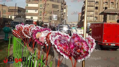 صور| عيد الحب 2019 يتحدى العاصفة الترابية في المنوفية .. والورد أبرز هدايا الفلانتين