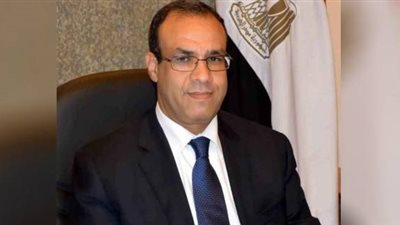 فيديو | سفير مصر بألمانيا: السيسي أول رئيس مصري يشارك في مؤتمر ميونخ للأمن