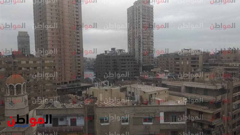 المواطن