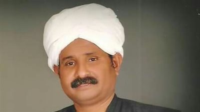 آدم حاج موسى لـ«بوابة المواطن»: مصر ترأست أفريقيا فى وقت حرج